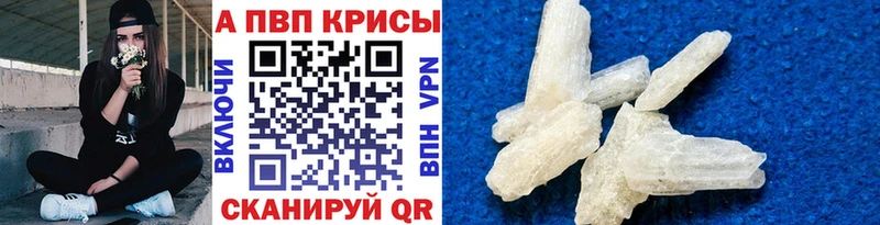 Альфа ПВП Калининград