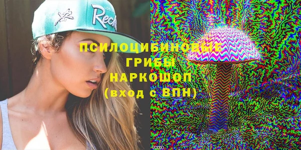 spice Приозерск