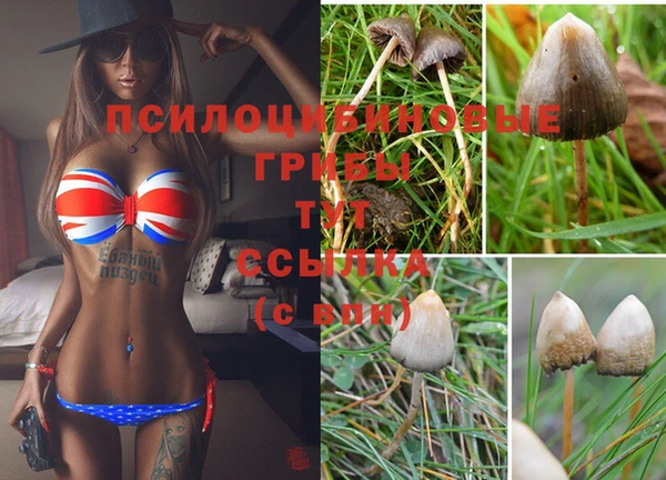 каннабис Пролетарск