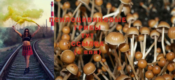мдпв Россошь